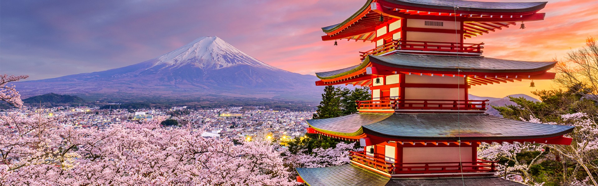 Dix conseils pour votre voyage au Japon